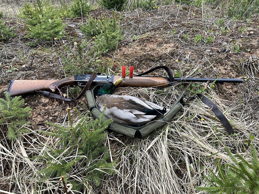 Фото из отзыва от 20.04.2025