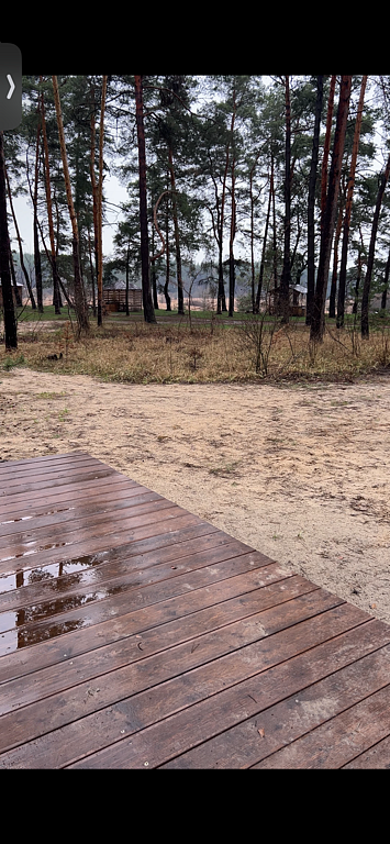 Фото из отзыва от 31.03.2025