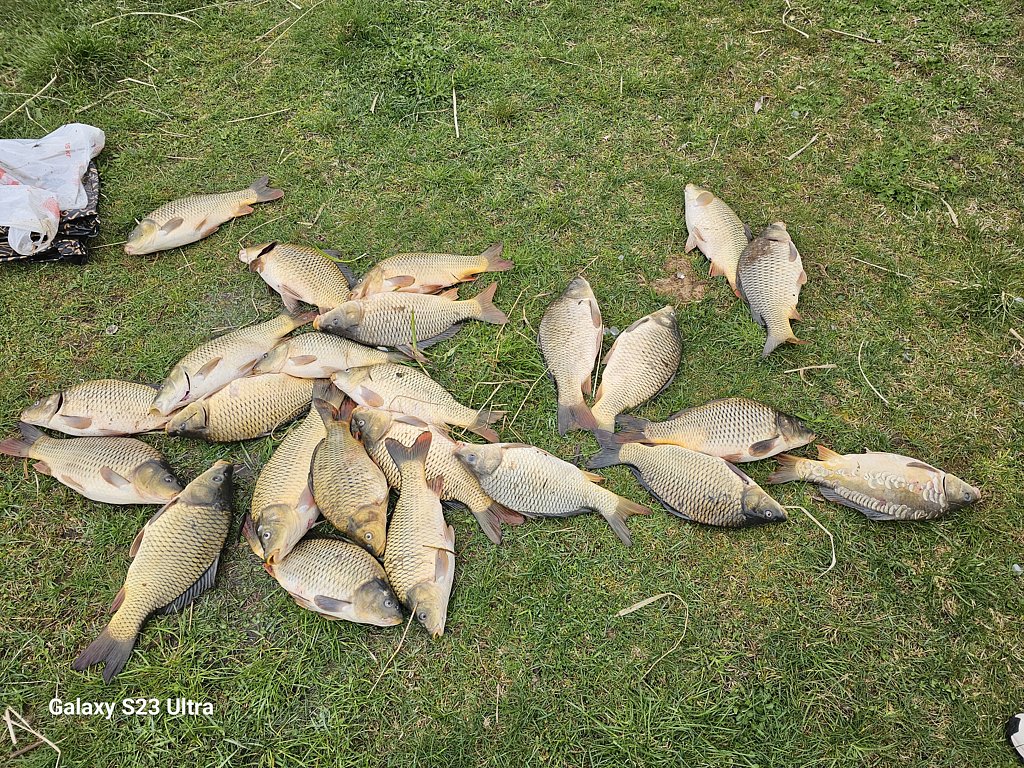 Фото из отзыва от 26.04.2025