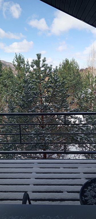 Фото из отзыва от 26.04.2025