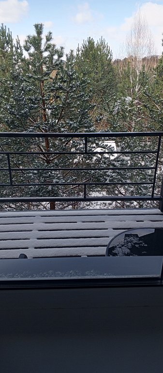 Фото из отзыва от 26.04.2025