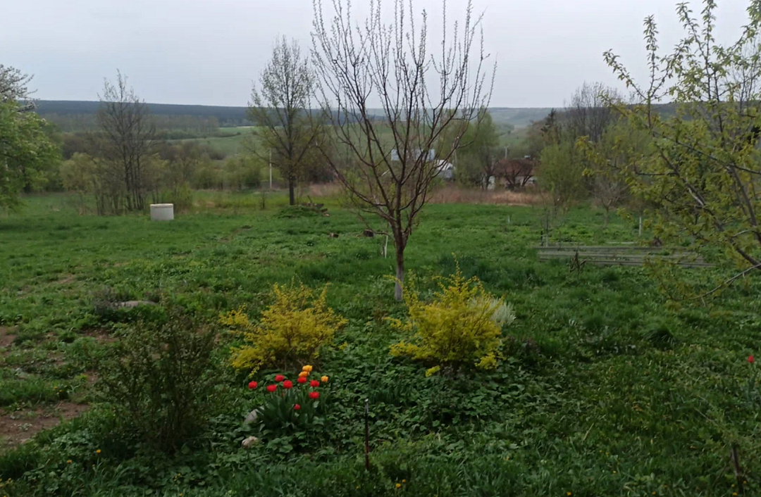 Дом Хвостова, Липецкая область: фото 2