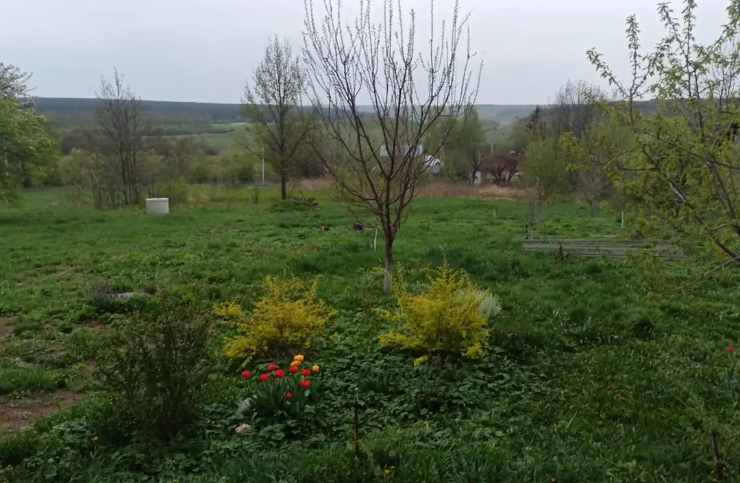 Дом Хвостова, Липецкая область: фото 2