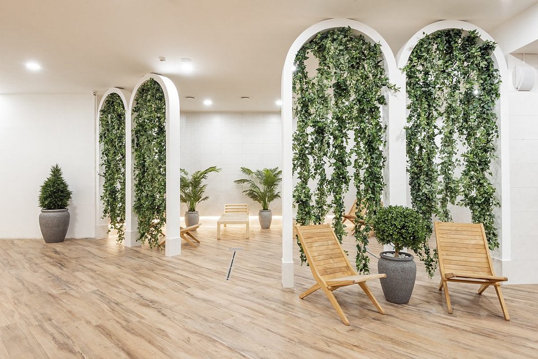 Зона отдыха «Оливковый сад»