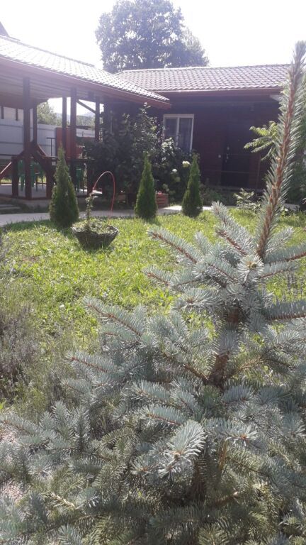 Частный дом Feel House/Дом в горах, Республика Адыгея: фото 4