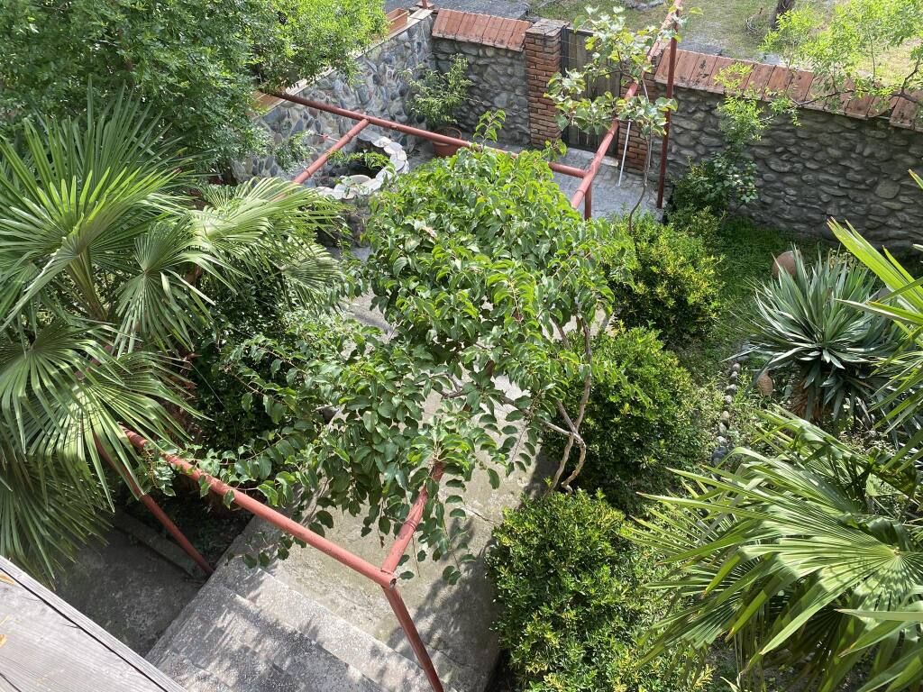 в Лагодехи, Кахетия: фото 4