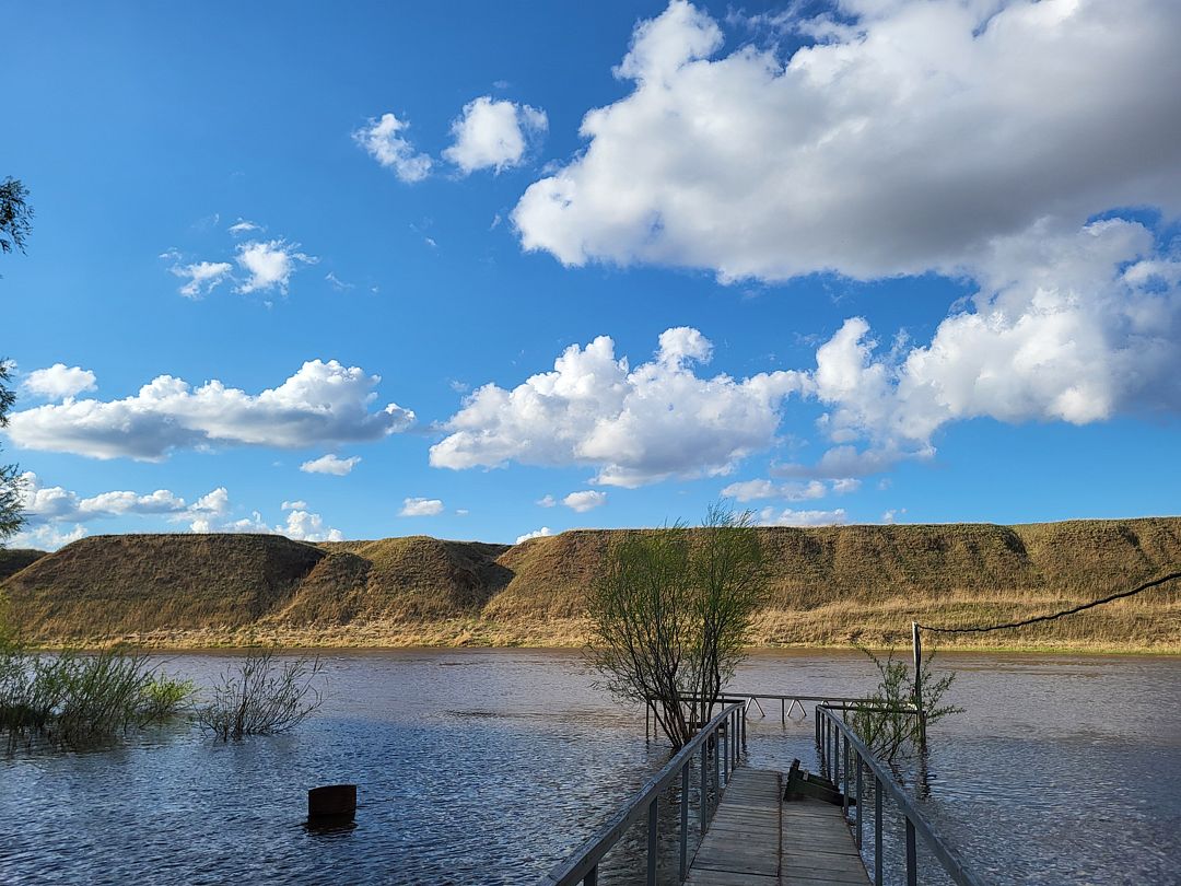 Фото 2 из отзыва о базе отдыха Подсолнухи