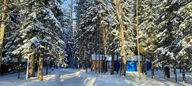 Барн Хаус «Таежный», Клуб отдыха Грин форест (Green Forest), Конаково