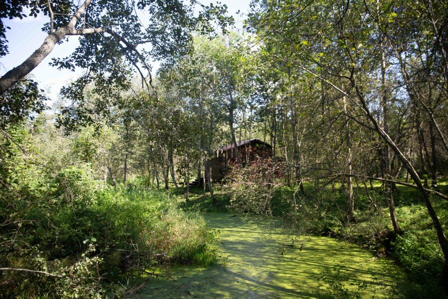 Шале 2-местный 1-комнатный