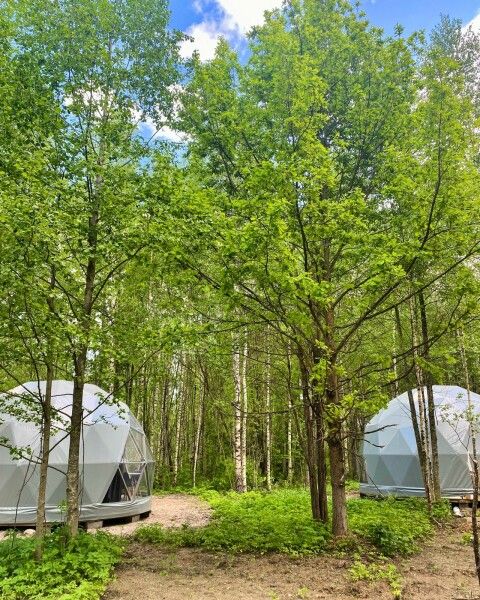 Сфера 2-местный 1-комнатный (Большая)