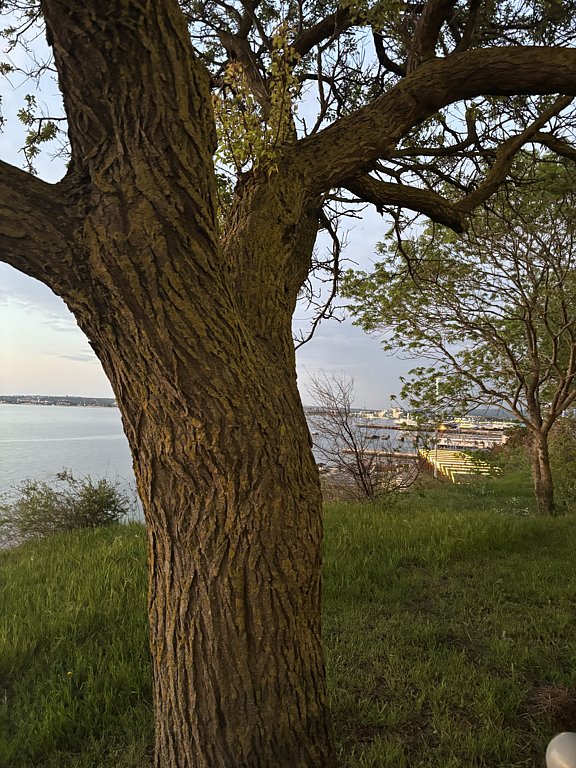 Фото из отзыва от 28.04.2025