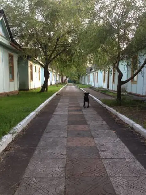 База отдыха Тур-сервис, Вардане, Краснодарский край