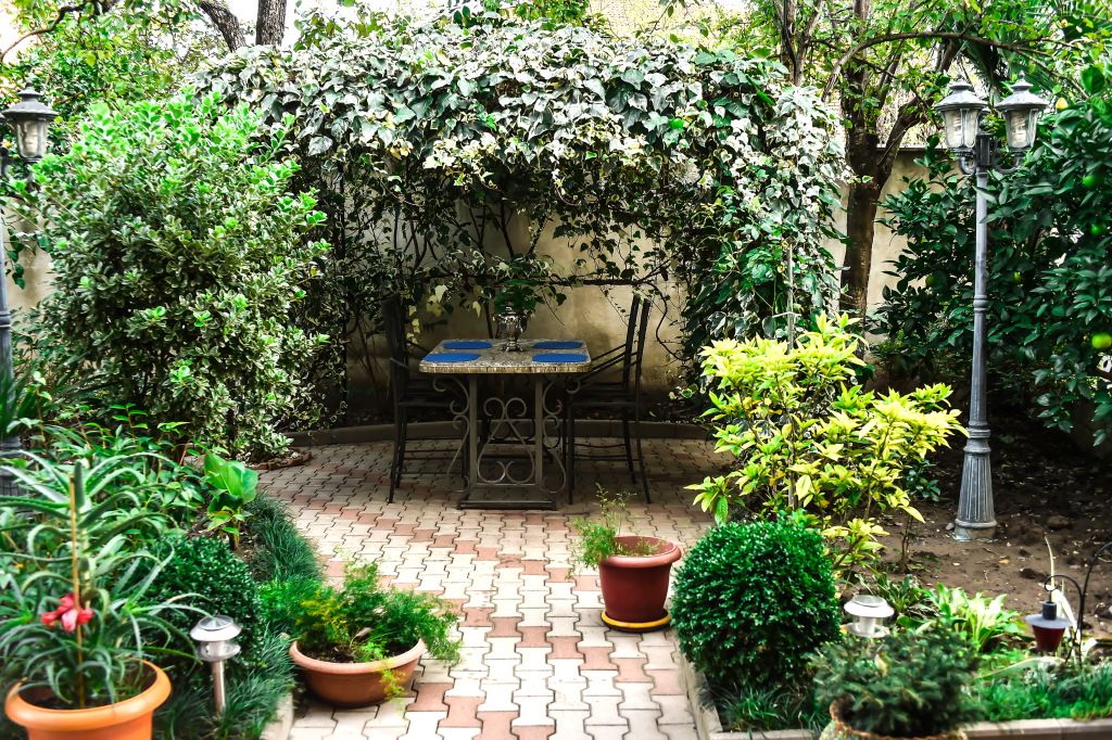 София, Имеретия: фото 3