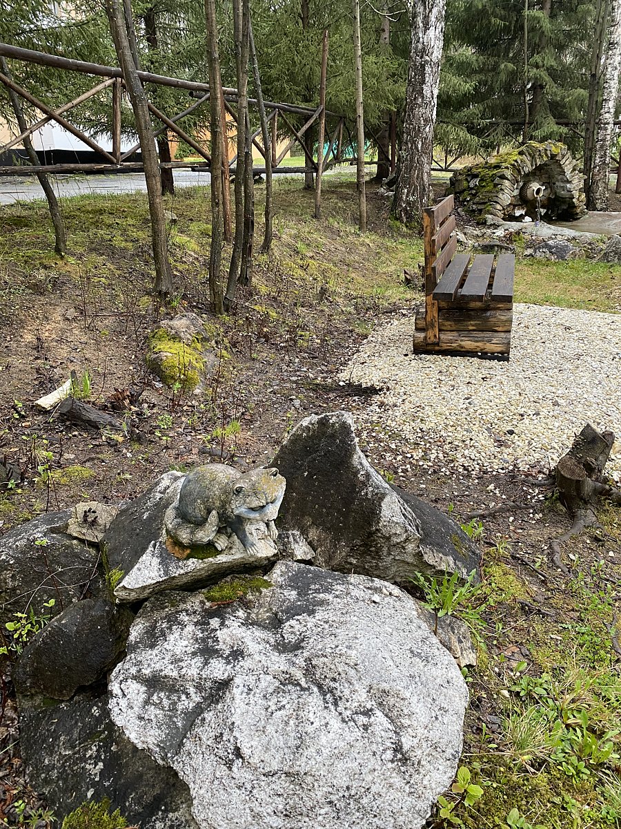 Фото 16 из отзыва о базе отдыха Светлая