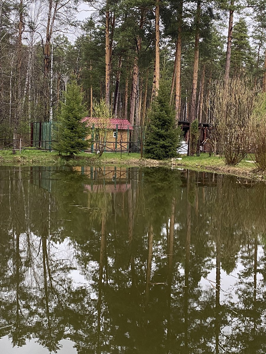 Фото 17 из отзыва о базе отдыха Светлая