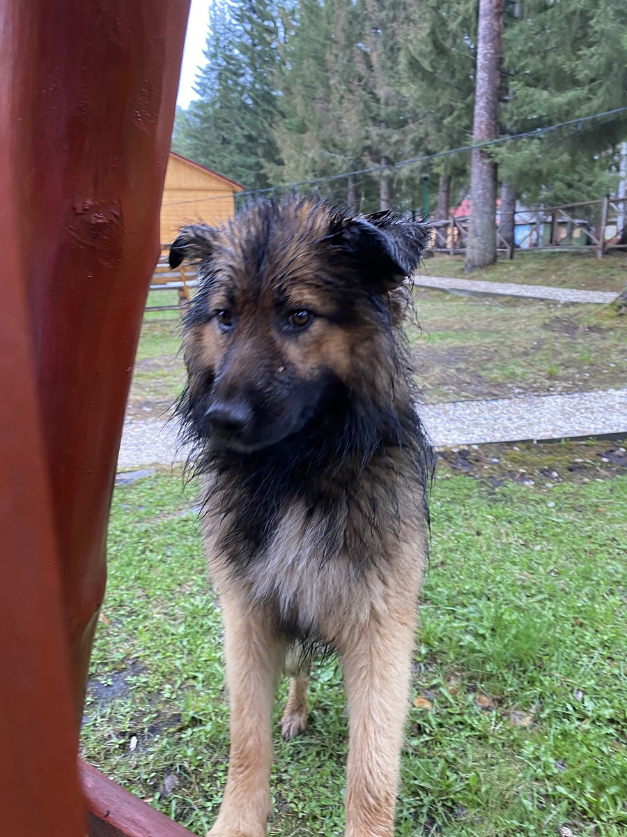 Фото 18 из отзыва о базе отдыха Светлая