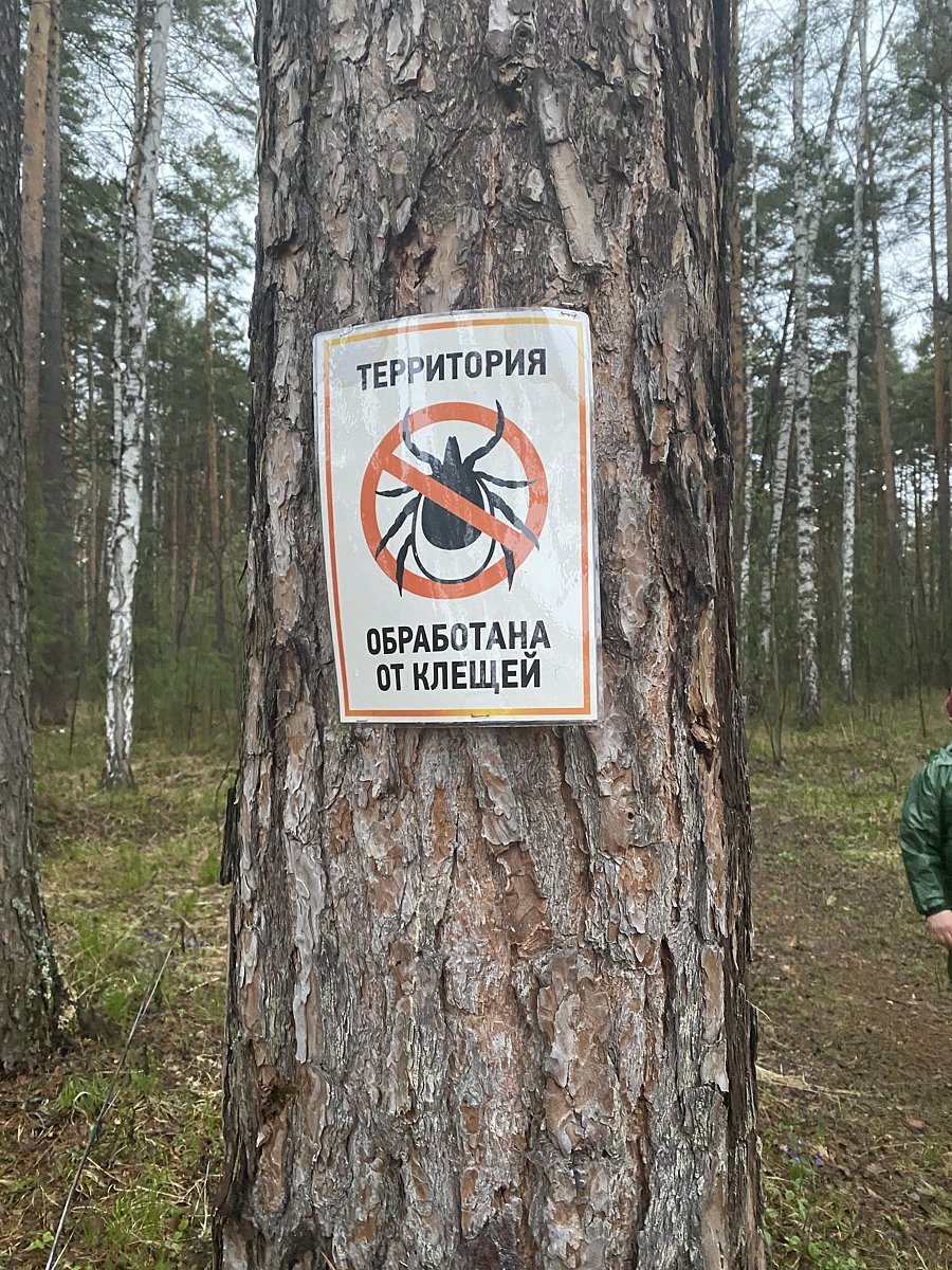 Фото 20 из отзыва о базе отдыха Светлая