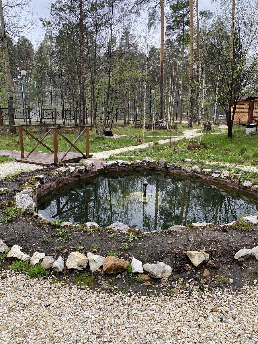 Фото 21 из отзыва о базе отдыха Светлая