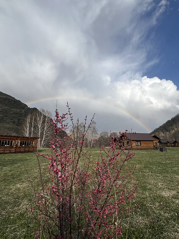 Фото из отзыва от 05.05.2025