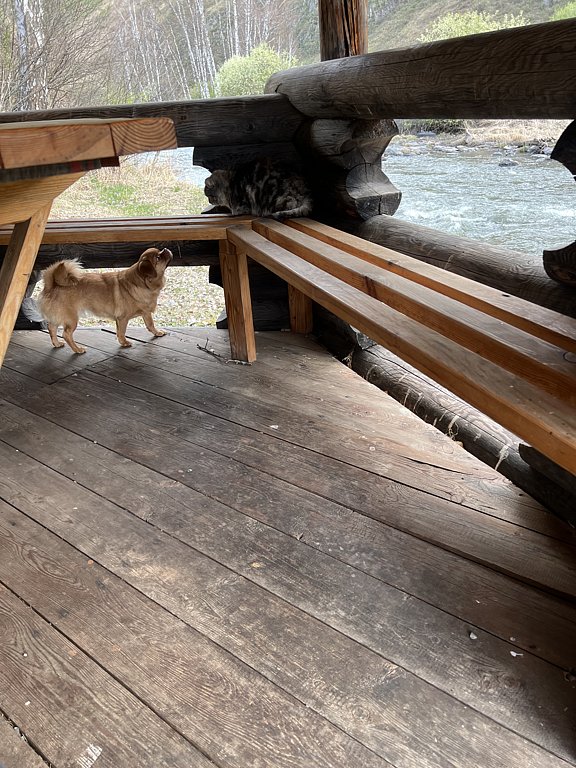 Фото из отзыва от 05.05.2025