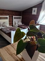 Двухместный номер Standard с красивым видом из окна 2 отдельные кровати, База отдыха Каменские Плёсы, Каменский район
