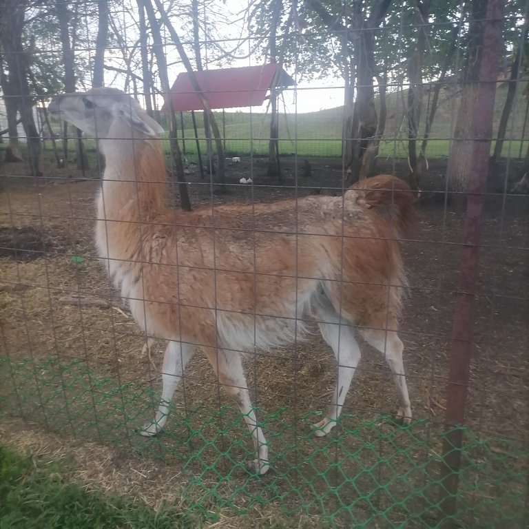 Фото из отзыва от 08.05.2025