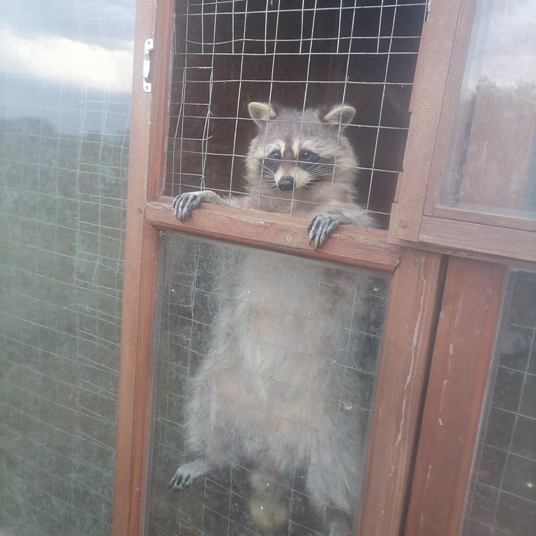 Фото из отзыва от 08.05.2025