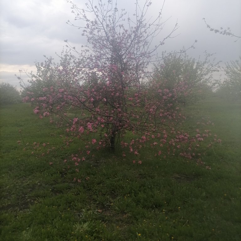 Фото из отзыва от 08.05.2025