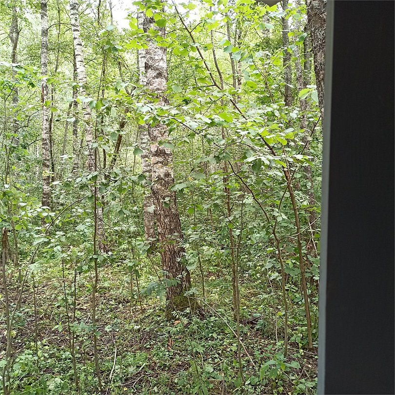 Домик 2-местный 1-комнатный (Дачника)