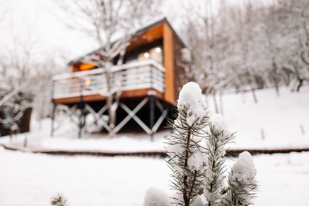 Глэмпинг Загородный клуб Форрест, Республика Татарстан: фото 4