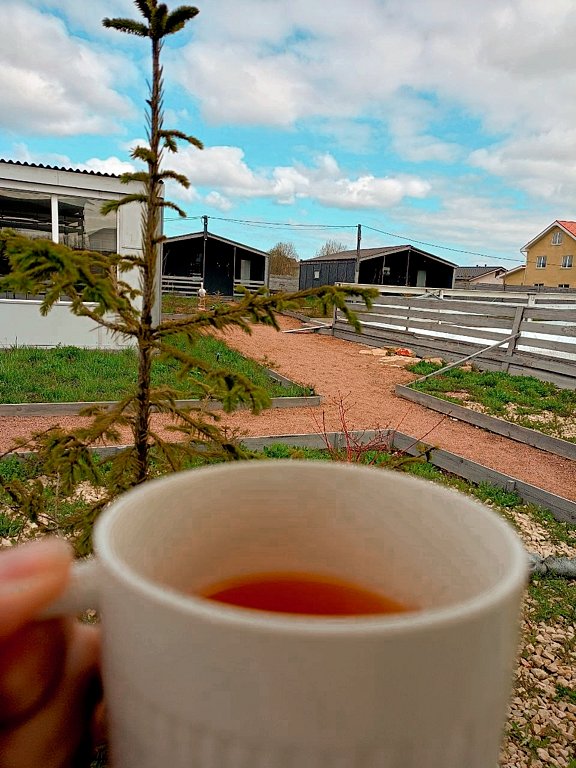 Фото из отзыва от 09.05.2025