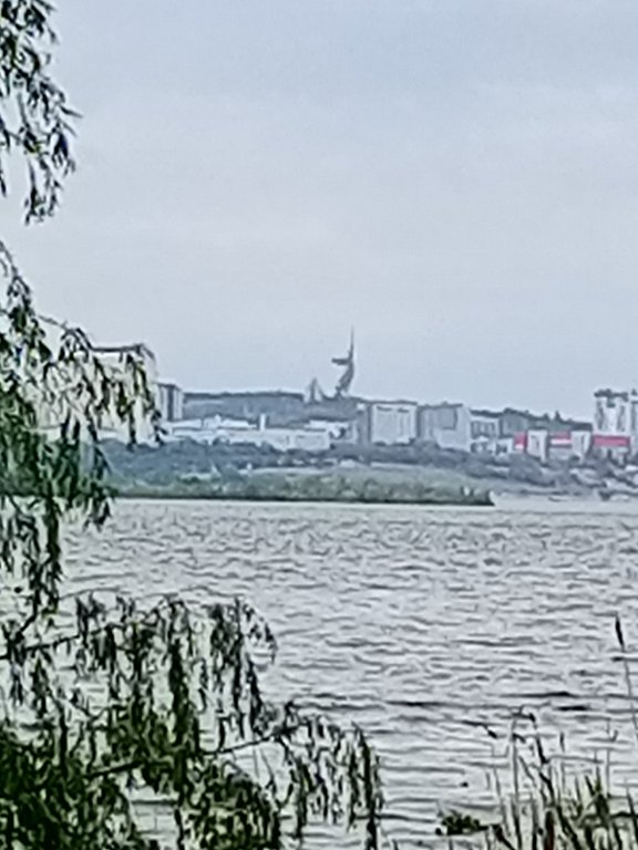 Фото из отзыва от 08.05.2025