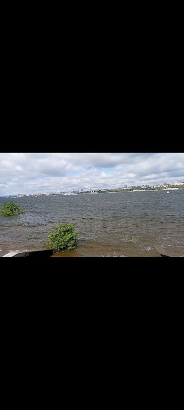 Фото 1 из отзыва о базе отдыха Дача Поддубного