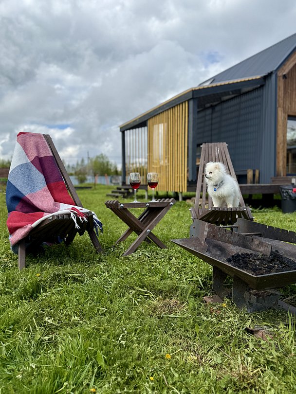 Petrushka.Просторы, Московская область: фото 2