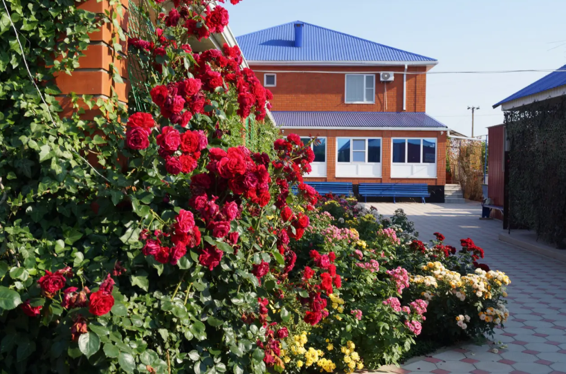 Гостевой дом Четыре сезона, Пересыпь, Краснодарский край