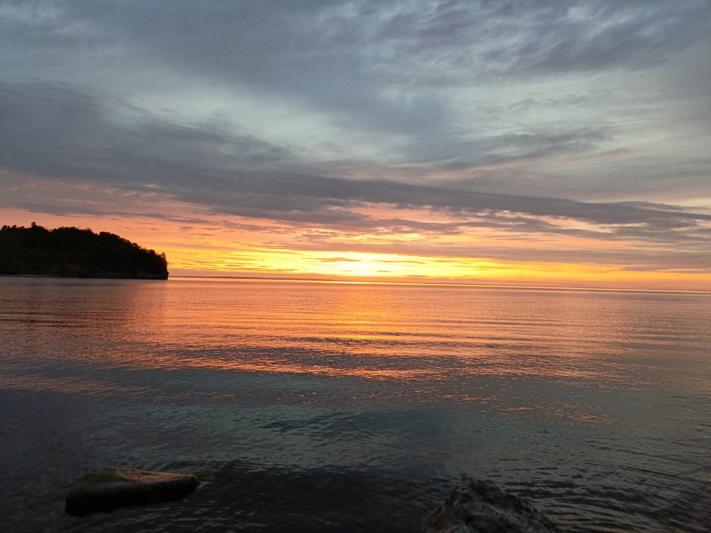 Фото из отзыва от 12.05.2025