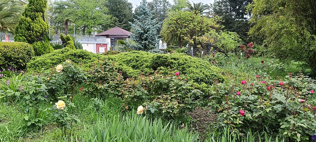 Фото из отзыва от 01.05.2025