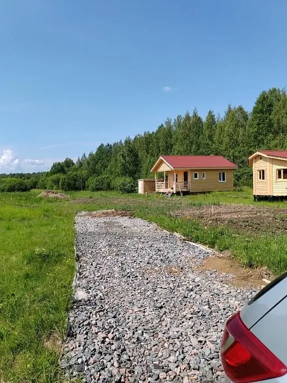 Карловка, Новгородская область: фото 3