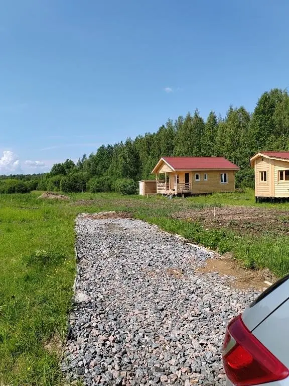 Карловка, Новгородская область: фото 3