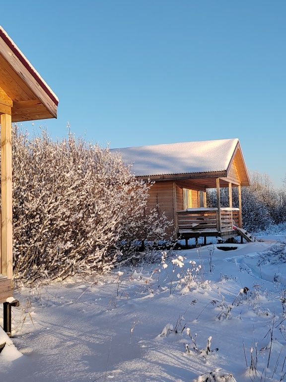 Карловка, Новгородская область: фото 4