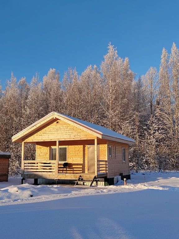 Карловка, Новгородская область: фото 5