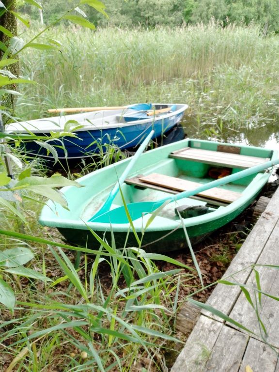 База отдыха  Домики с видом на Мунозеро, Республика Карелия: фото 5