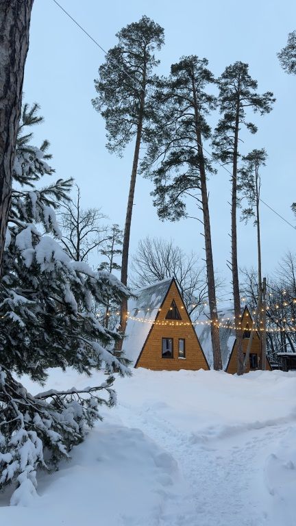 Борвиха, Республика Татарстан: фото 2