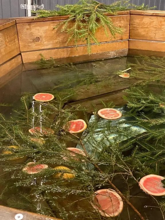 Глэмпинг Лесные огни, Московская область: фото 5