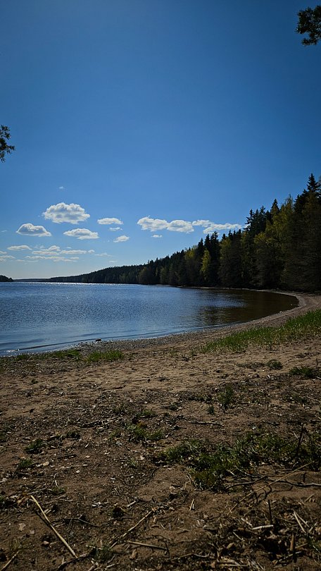 Фото 4 из отзыва о базе отдыха Море