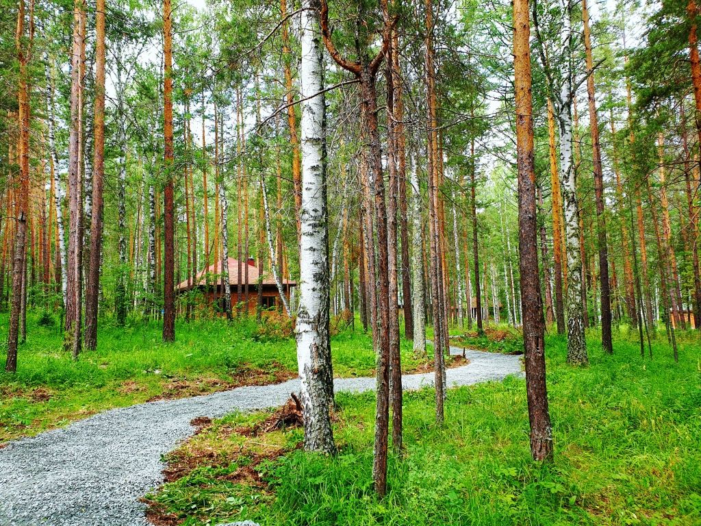 База отдыха Лапландия, Республика Башкортостан: фото 2