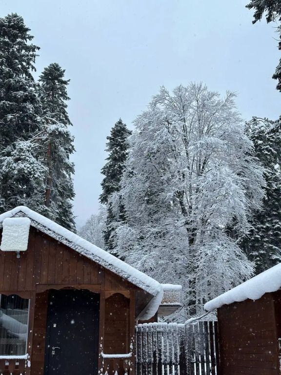 Эверест, Республика Карачаево-Черкесия: фото 3