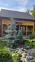 Четырёхместный семейный номер Classic с балконом и с красивым видом из окна, База отдыха Дача Удача, Чемал
