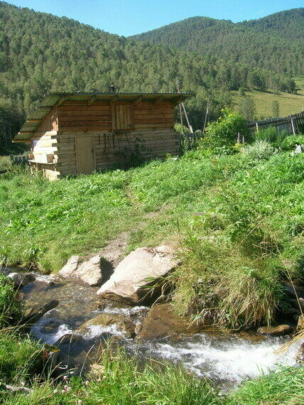 База отдыха чистый лог егорьевский район алтайский край фото