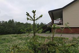 Четырёхместный коттедж Standard, Туристическая база Sumeria House Karelia, поселок Импилахти